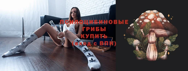 индика Аркадак