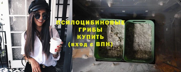 индика Алексеевка