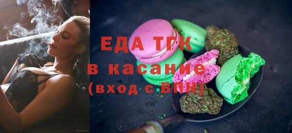 индика Аркадак