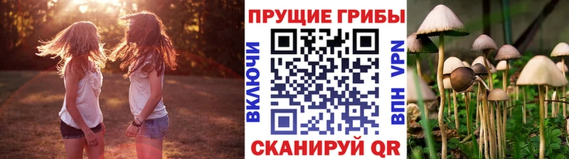 Псилоцибиновые грибы Magic Shrooms  Ельня 